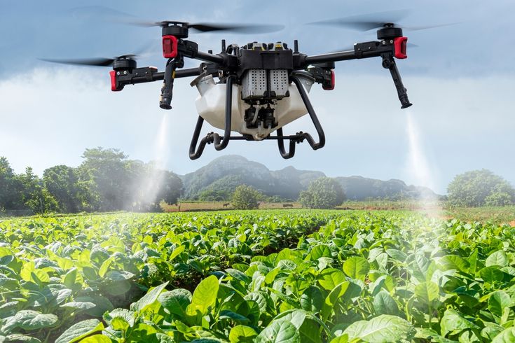 DJI Agras T50 spraying a field